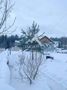 Россия, Вологодская область, Междуреченский муниципальный округ, село Шуйское, Лесная улица, 20