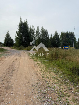 Россия, Вологодский муниципальный округ, деревня Андрюшино