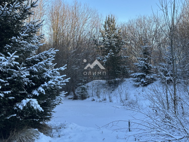 Россия, Вологодский муниципальный округ, деревня Павшино (Новленский сельсовет)