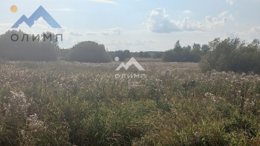 Россия, Вологодский муниципальный округ