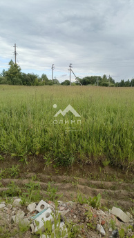 Россия, Вологда, СНТ Доронинский