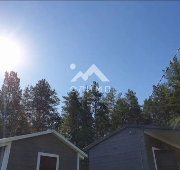 Россия, Вологодский муниципальный округ, садоводческое товарищество Сосенка