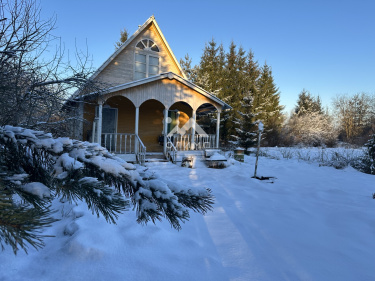 Россия, Вологодский муниципальный округ, деревня Павшино (Новленский сельсовет)