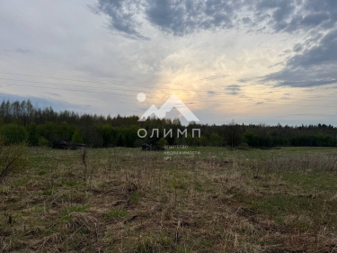 Россия, Вологодская область, Междуреченский муниципальный округ, деревня Космово