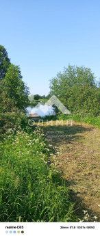 Россия, Вологодская область, Белозерский муниципальный округ, село Куность, Озёрная улица