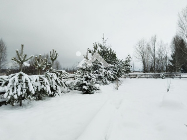 Россия, Вологодская область, Усть-Кубинский муниципальный округ, деревня Ивановская