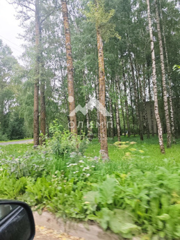 Россия, Вологодский муниципальный округ, посёлок Грибково, 2