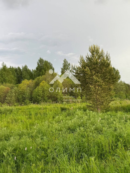 Россия, Вологодский муниципальный округ, деревня Новое (Борисовский сельсовет)