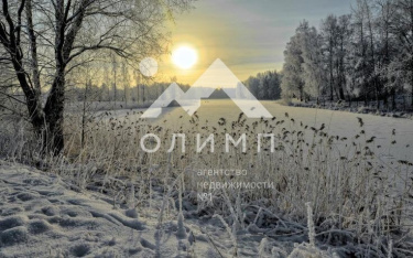 Россия, Вологодская область, Усть-Кубинский муниципальный округ, деревня Горка-1