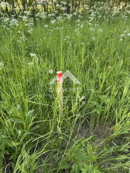 Россия, Вологодский муниципальный округ, деревня Матвеевское (Марковский сельсовет)