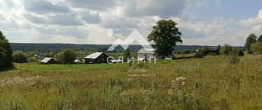 Россия, Вологодская область, Харовский муниципальный округ, деревня Сысоиха