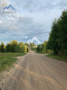 Россия, Вологодская область, Шекснинский муниципальный округ, сельское поселение Угольское, деревня Рылово