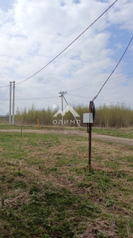 Россия, Вологодский муниципальный округ, деревня Марфино, деревня Шаньково