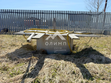 Россия, Вологодская область, Шекснинский муниципальный округ, деревня Золотуха, 27