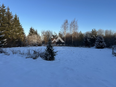 Россия, Вологодский муниципальный округ, деревня Павшино (Новленский сельсовет)