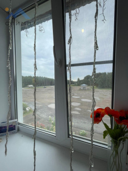 Россия, Вологодская область, Верховажский муниципальный округ, село Чушевицы, Московская улица, 15А 3454668121