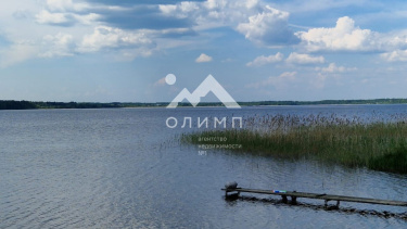 Россия, Вологодская область, Кирилловский муниципальный округ, деревня Гридинская, 2