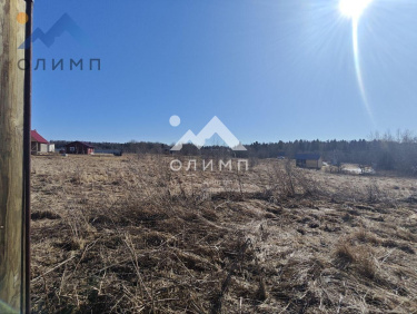 Россия, Вологодский муниципальный округ, деревня Мальгино (Подлесный сельсовет)