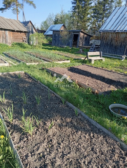 Россия, Вологодская область, Междуреченский муниципальный округ, село Шуйское, Лесная улица, 20