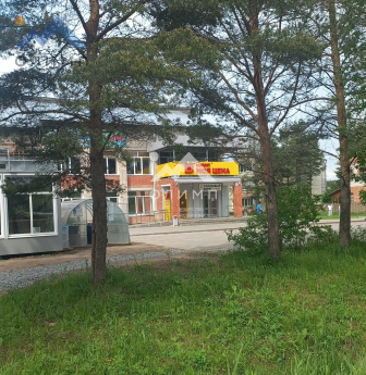 Россия, Вологодский муниципальный округ, посёлок Сосновка