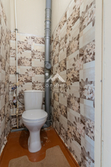 Россия, Вологодский муниципальный округ, деревня Княгинино (Подлесный сельсовет), 5