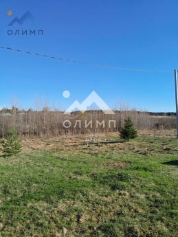 Россия, Вологодский муниципальный округ, деревня Игнатово