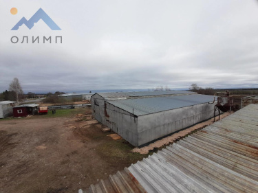 Россия, Вологодская область, Грязовецкий муниципальный округ, деревня Становищево, Садовая улица, 26 3422254143