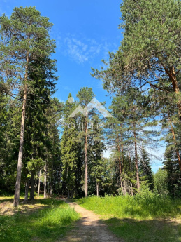 Россия, Вологодская область, Никольский муниципальный округ, село Светлый Ключ