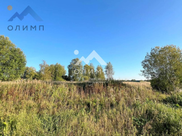 Россия, Вологодская область, Грязовецкий муниципальный округ, деревня Погорелка (сельское поселение Юровское)