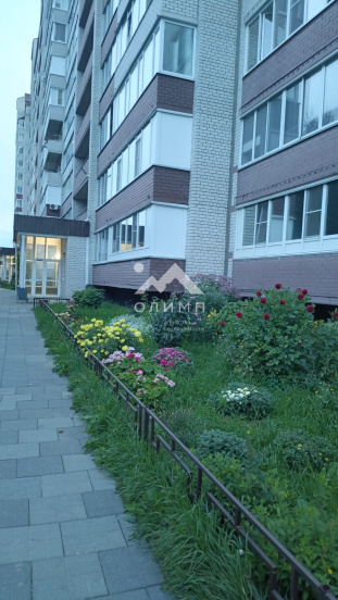 Россия, Вологда, улица Возрождения, 47А