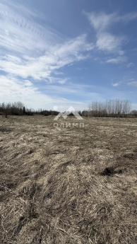 Россия, Вологодский муниципальный округ, деревня Токарево (Спасский сельсовет)