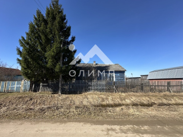 Россия, Вологодская область, Грязовецкий муниципальный округ, деревня Спасское, 62