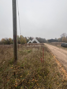 Россия, Вологодская область, Вашкинский муниципальный округ, деревня Тимино (Андреевский сельсовет)