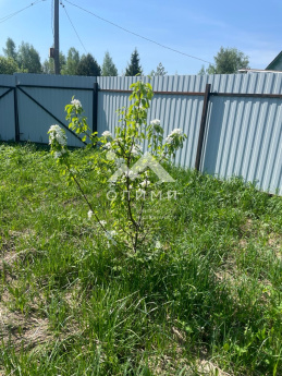 Россия, Вологда, СНТ Берег-1, 43