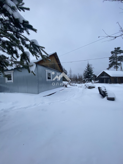 Россия, Вологодская область, Междуреченский муниципальный округ, село Шуйское, Лесная улица, 20