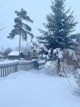 Россия, Вологодская область, Междуреченский муниципальный округ, село Шуйское, Лесная улица, 20