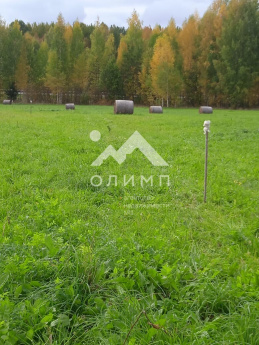 Россия, Вологодский муниципальный округ, деревня Андрюшино
