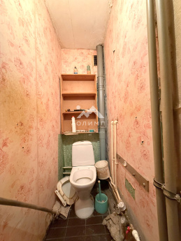 Россия, городской округ Вологда, село Молочное, улица Емельянова, 2