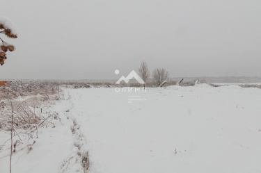 Россия, Вологодский муниципальный округ, посёлок Надеево 5528083684