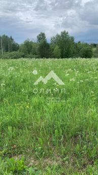 Россия, Вологодская область, Усть-Кубинский муниципальный округ, деревня Горка-1