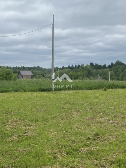 Россия, Вологодский муниципальный округ, деревня Никулино (Марковский сельсовет)