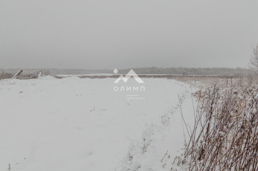 Россия, Вологодский муниципальный округ, посёлок Надеево 5528083684