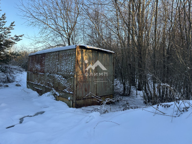 Россия, Вологодский муниципальный округ, деревня Павшино (Новленский сельсовет)