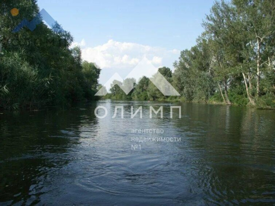 Россия, Вологодская область, Шекснинский муниципальный округ, сельское поселение Угольское, деревня Рылово