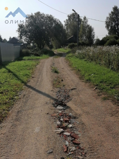 Вологодская область, деревня Дмитриевское (Спасский сельсовет) 10230