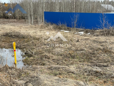 Россия, Вологодский муниципальный округ, деревня Щекино