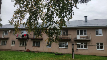 Россия, Вологодская область, Сокольский муниципальный округ, деревня Марковское, 1