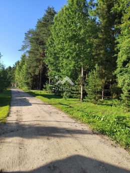 Россия, Вологодский муниципальный округ, посёлок Сосновка, улица Строителей, 11Б