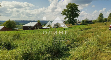 Россия, Вологодская область, Харовский муниципальный округ, деревня Сысоиха