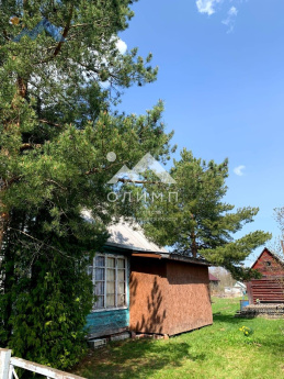 Россия, Вологодский муниципальный округ, садоводческое товарищество Зоренька-1